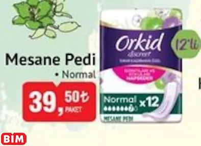 ORKİD MESANE PEDİ